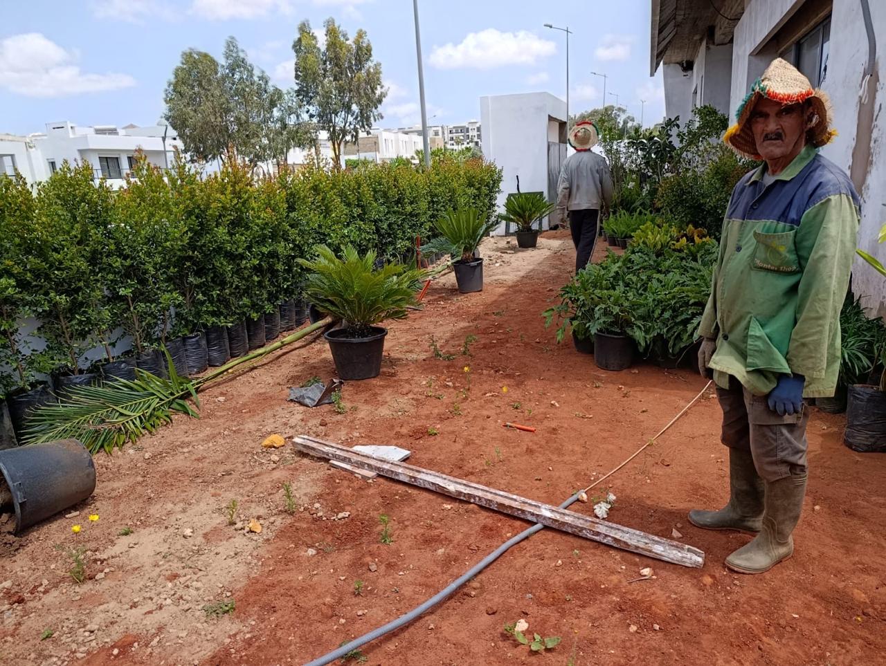 Aménagement Paysager 1