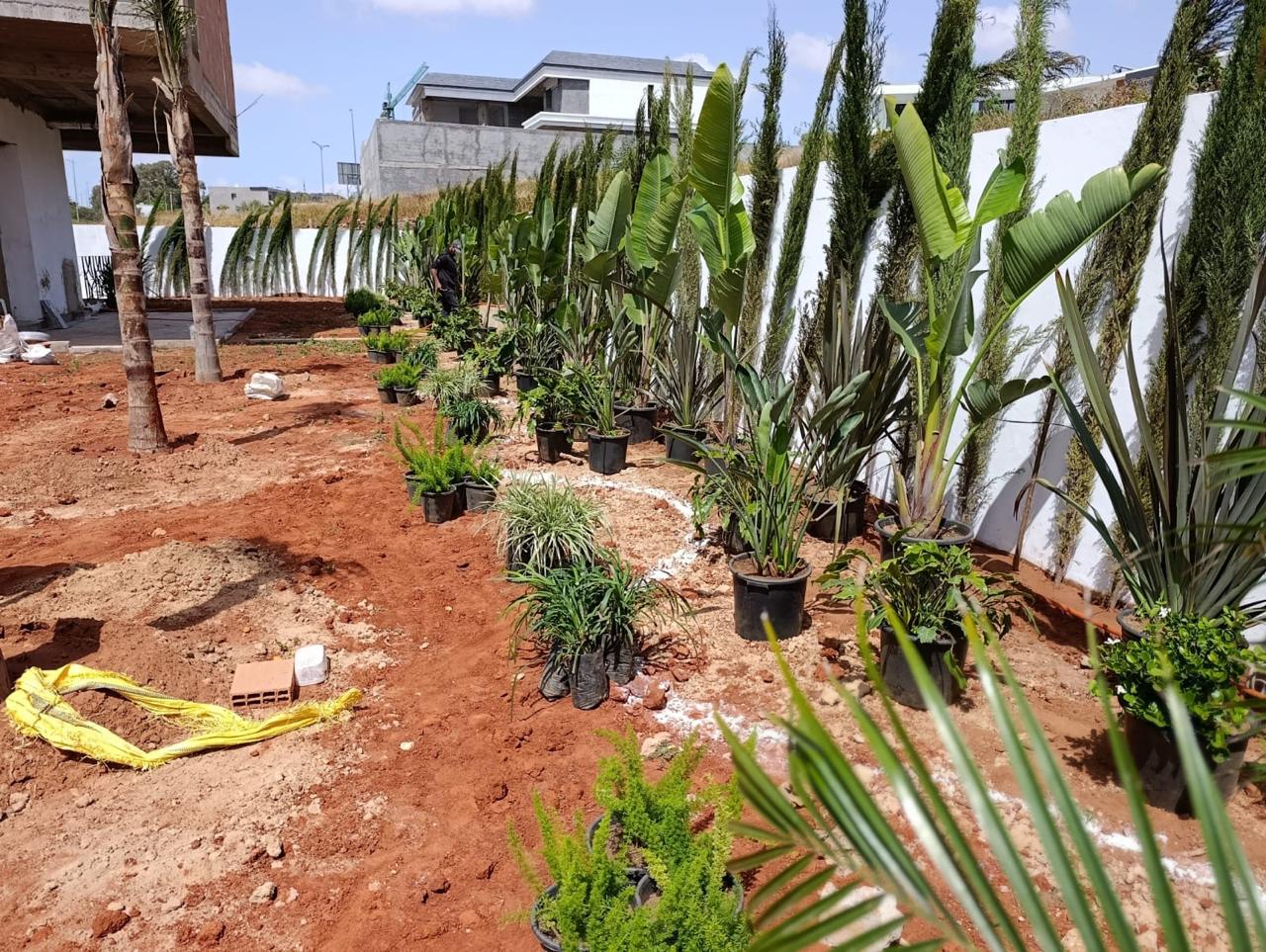 Aménagement Paysager 2