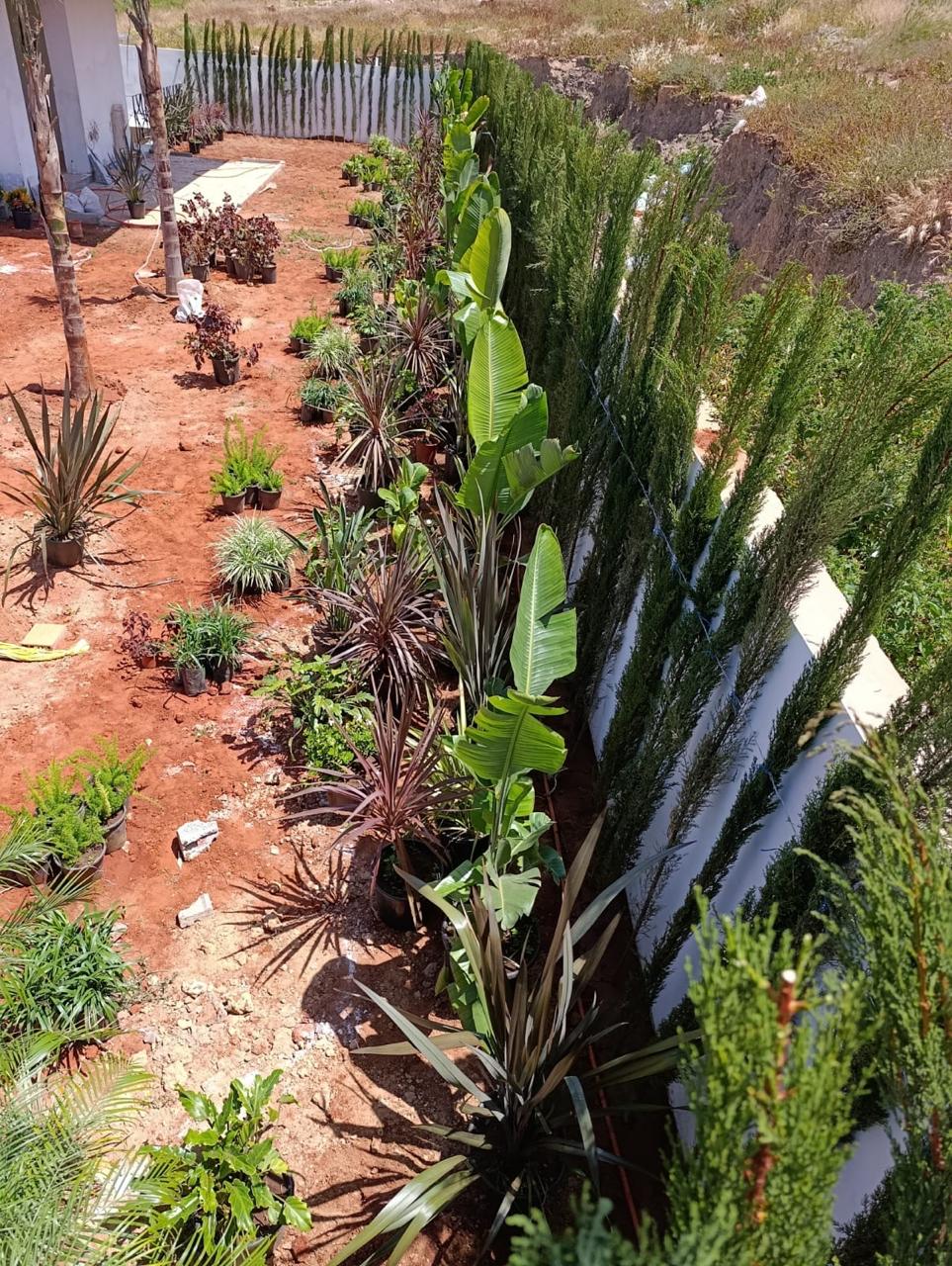 Aménagement Paysager 3