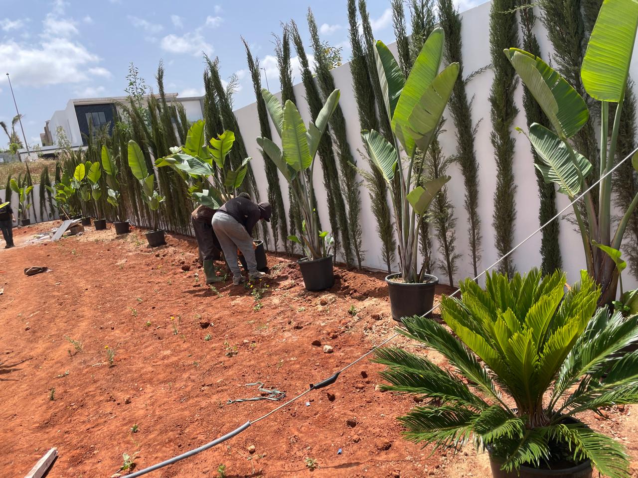 Aménagement Paysager 5