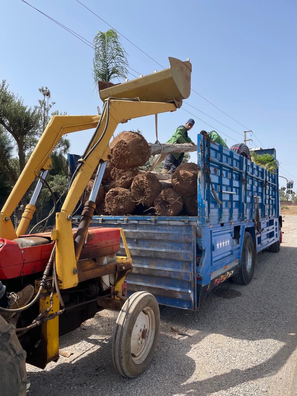 Aménagement Paysager 7