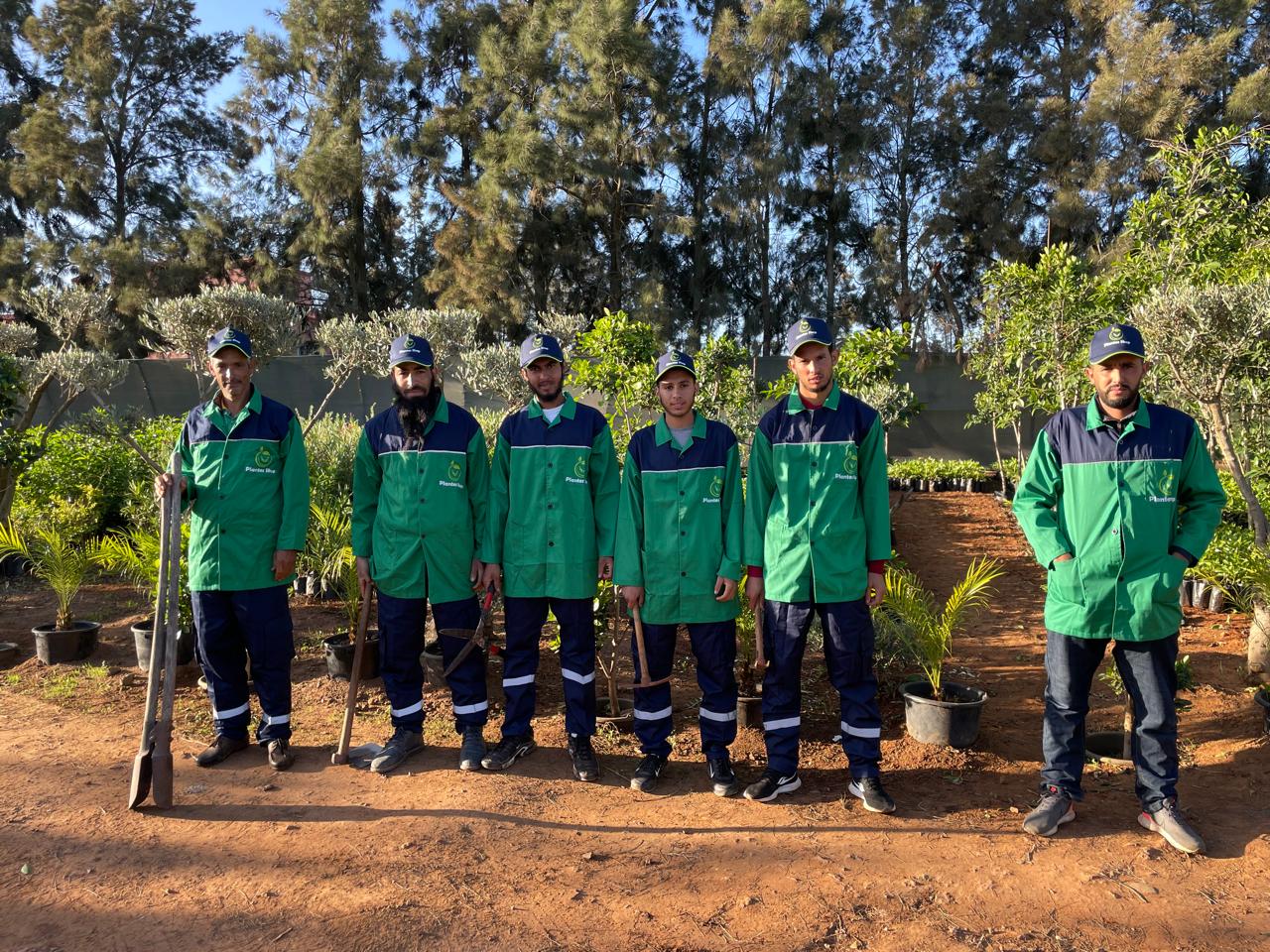 Collection de plantes luxuriantes