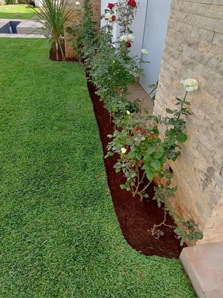 Entretien de Jardins 4